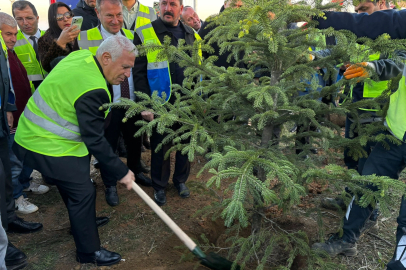 Bursa Büyükşehir'den 15 bin fidanlı 'Hatıra Ormanı'