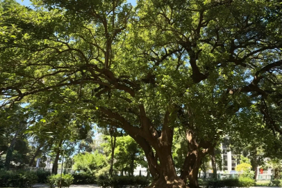 İzmir'de Kültürpark’ın köklerine yolculuk