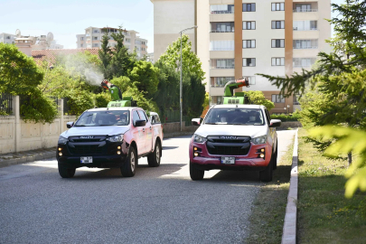 Ankara’da yaz boyu ilaçlama çalışmaları sürüyor