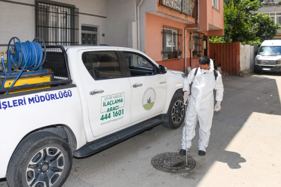 Bursa Osmangazi'de haşereye karşı anında müdahale