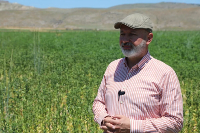 Kayseri Kocasinan'da toprağın bereketi sofralara taşınıyor