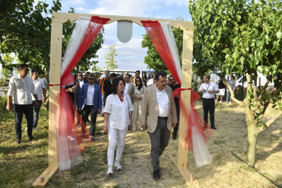 ATA Çiftliği’nde ilk dut toplandı