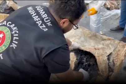 Hamzabeyli'nde yaban hayvanı kaçakçılığına darbe! 2 vaşak ve 2 serval kurtarıldı