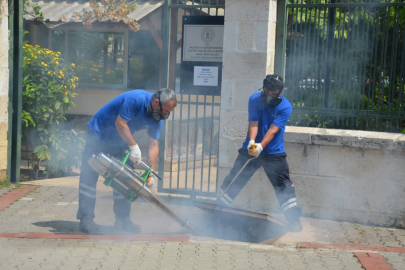 Antalya'da vektörel mücadele 4 koldan yürütülüyor