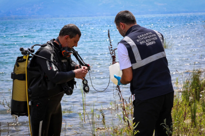 Sapanca'daki alg oluşumu mevsimsel