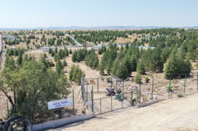 Eskişehir Büyükşehir’den sahipsiz hayvanlara yeni proje