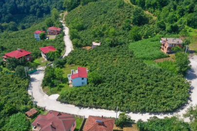 Ordu’da kırsal mahallelere beton yol konforu