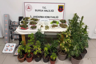 Bursa İnegöl’de kenevir ve yüklü miktarda esrar ele geçirildi