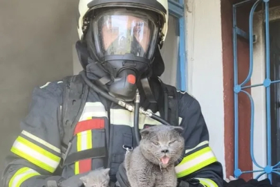 Kayseri İtfaiyesi yangından 6 kediyi kurtardı