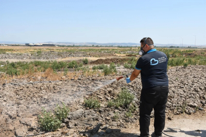 Balıkesir'de ilaçlama ekipleri 7/24 sahada