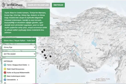 Türkiye'nin "Zeytin Atlası" erişime açıldı