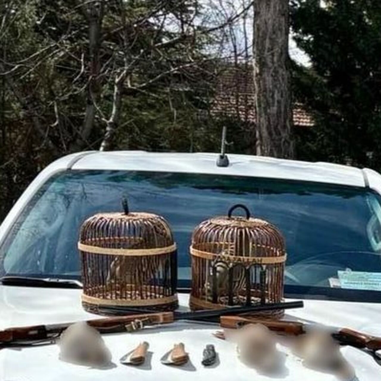 Afyonkarahisar’da “keklik” cezası: 132 bin 220 lira