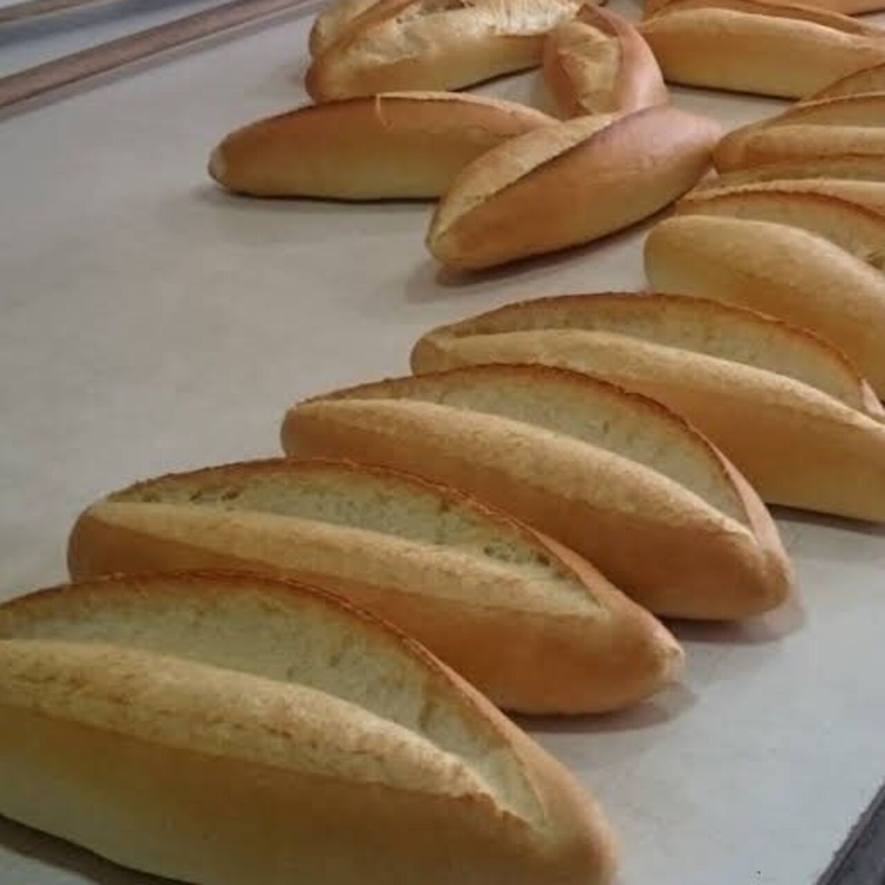 Edirne Valiliği ekmek fiyatı için yargıya başvurdu