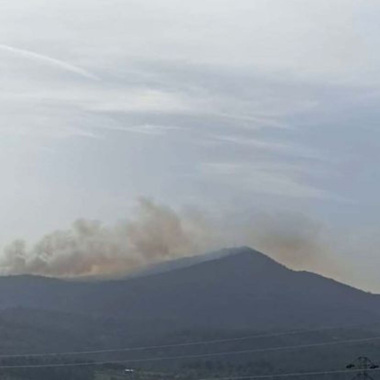 Milas’ta ormanlık alanda yangın çıktı