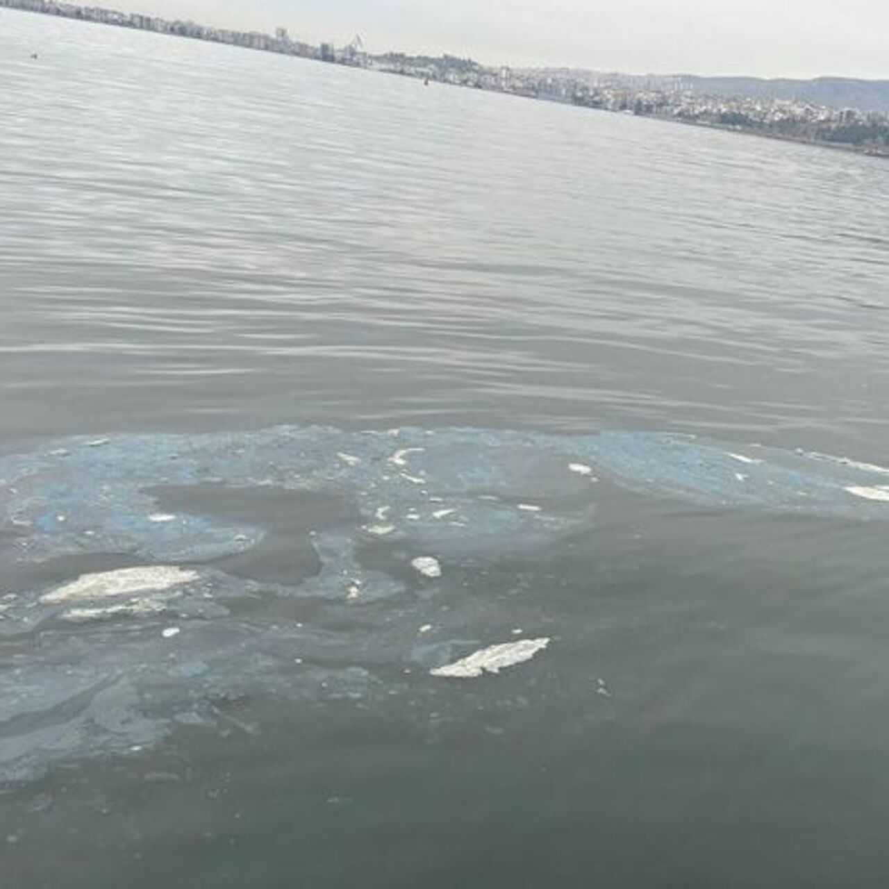 İzmir Körfezi’ni kirleten firmaya 8.3 milyon lira ceza