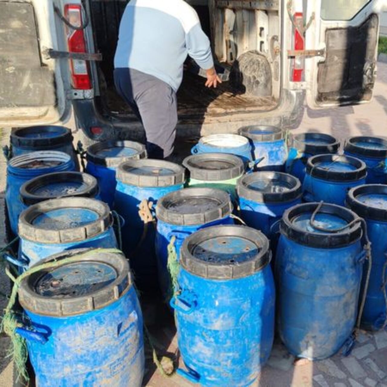 İzmir’de deniz patlıcanları ele geçirildi