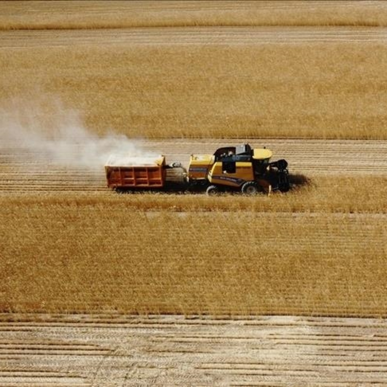 Tarım ÜFE şubatta aylık bazda yüzde 2,7 arttı