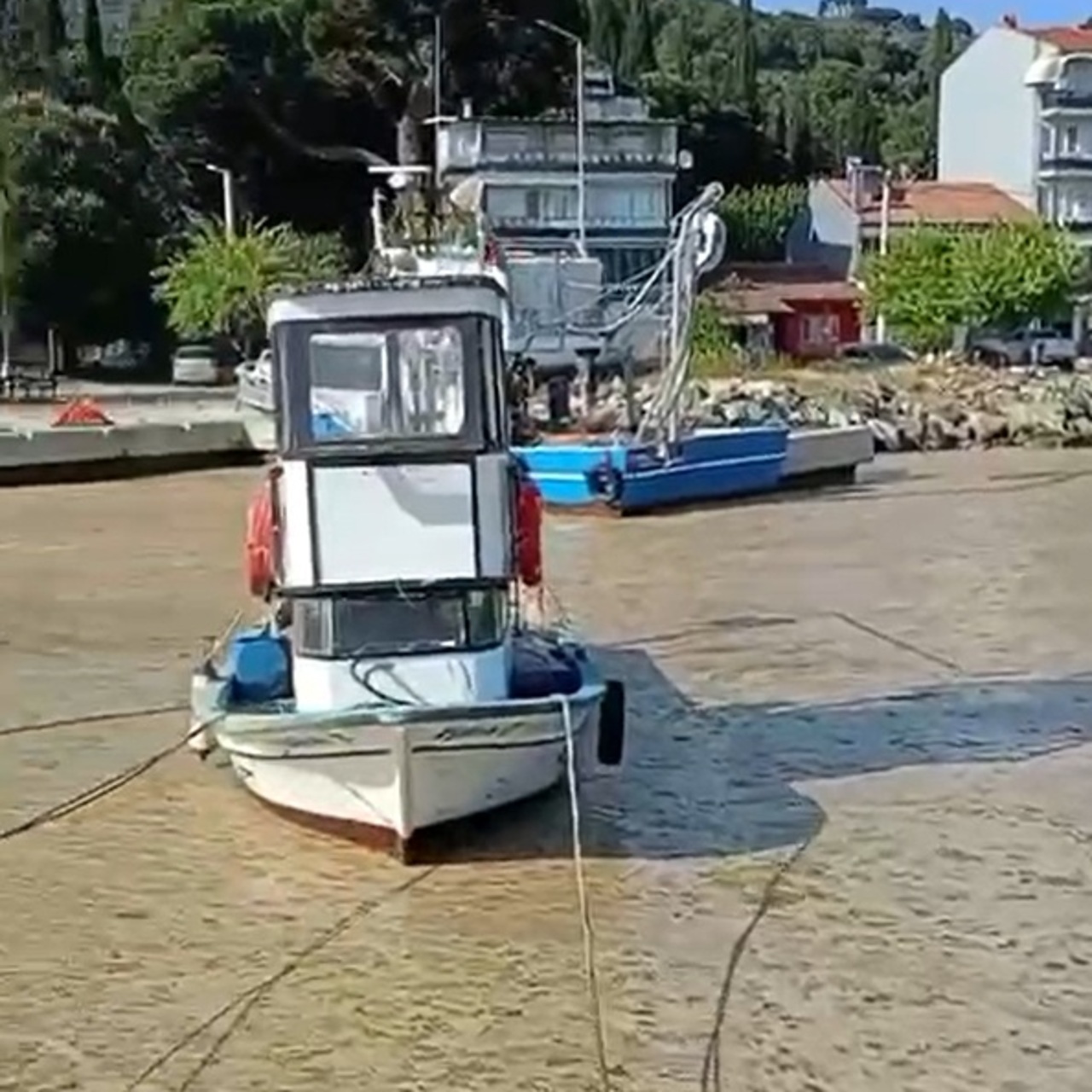 Müsilaj yeniden Marmara’da!