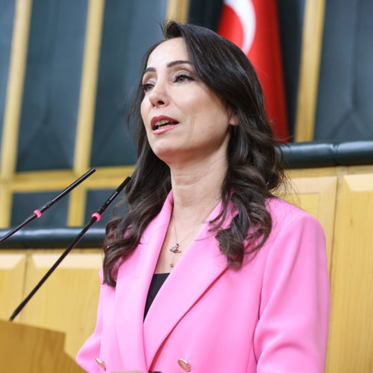 “Yeni sürecin çözüm adresi Meclis’tir”