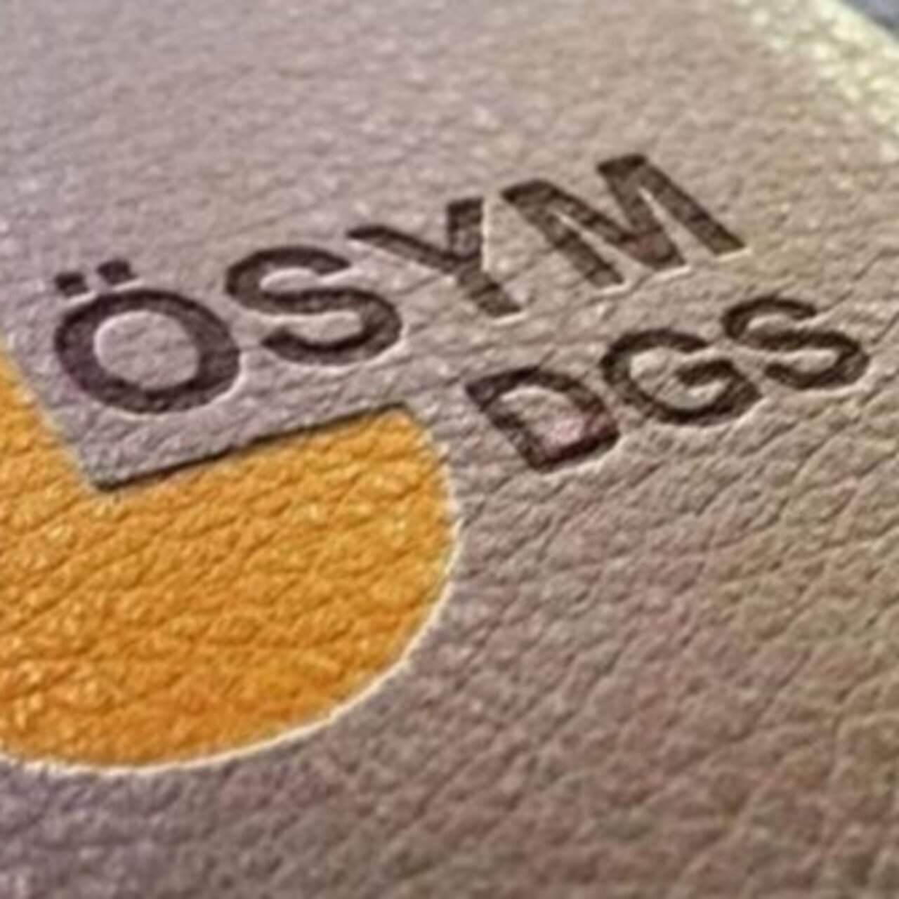 DGS başvurusu ne zaman?
