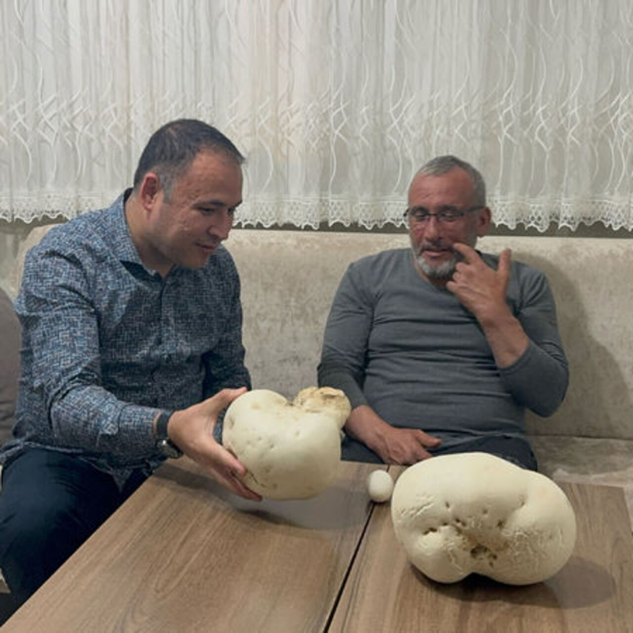 Doğa yürüyüşünde dev mantarlar buldu