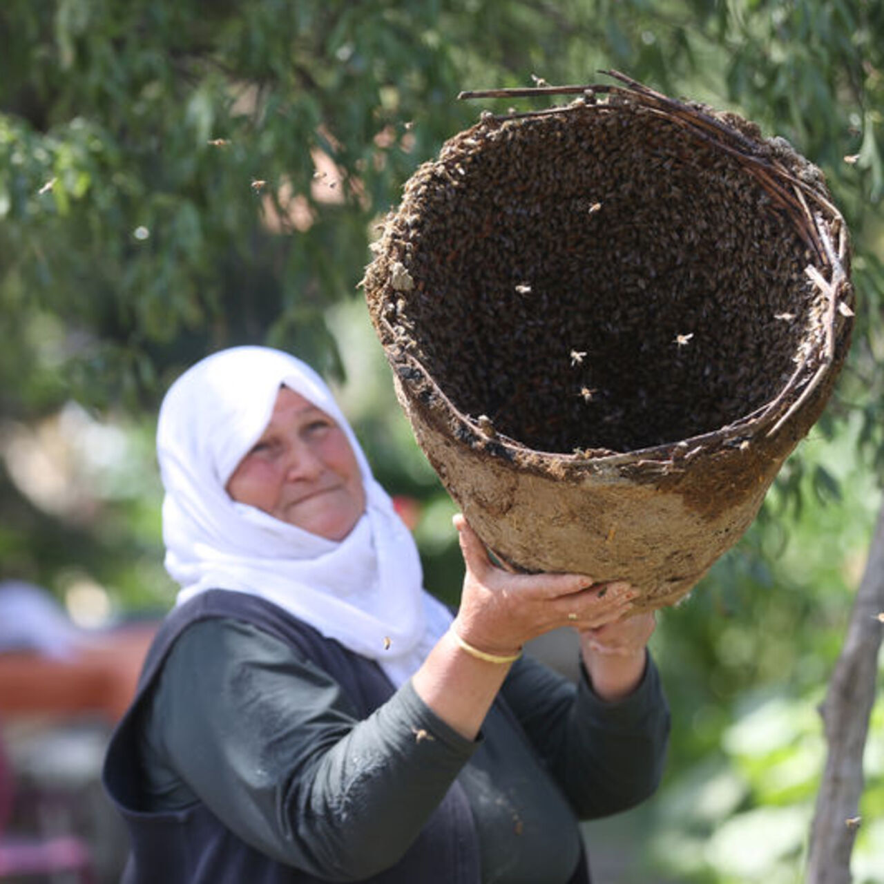 30 yıldır bu sepetlerde yetiştiriyor
