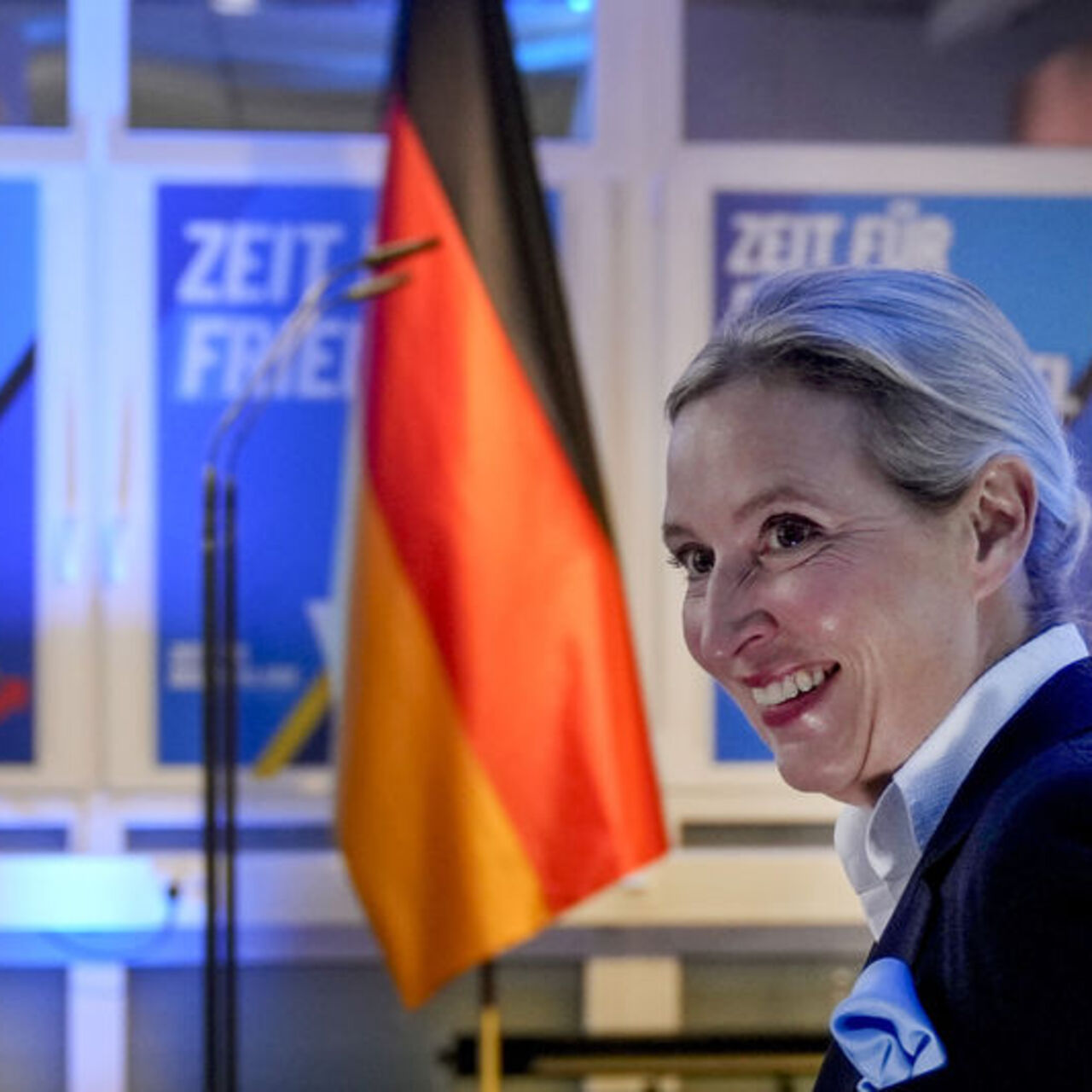 Alman mahkemesinden AfD kararı