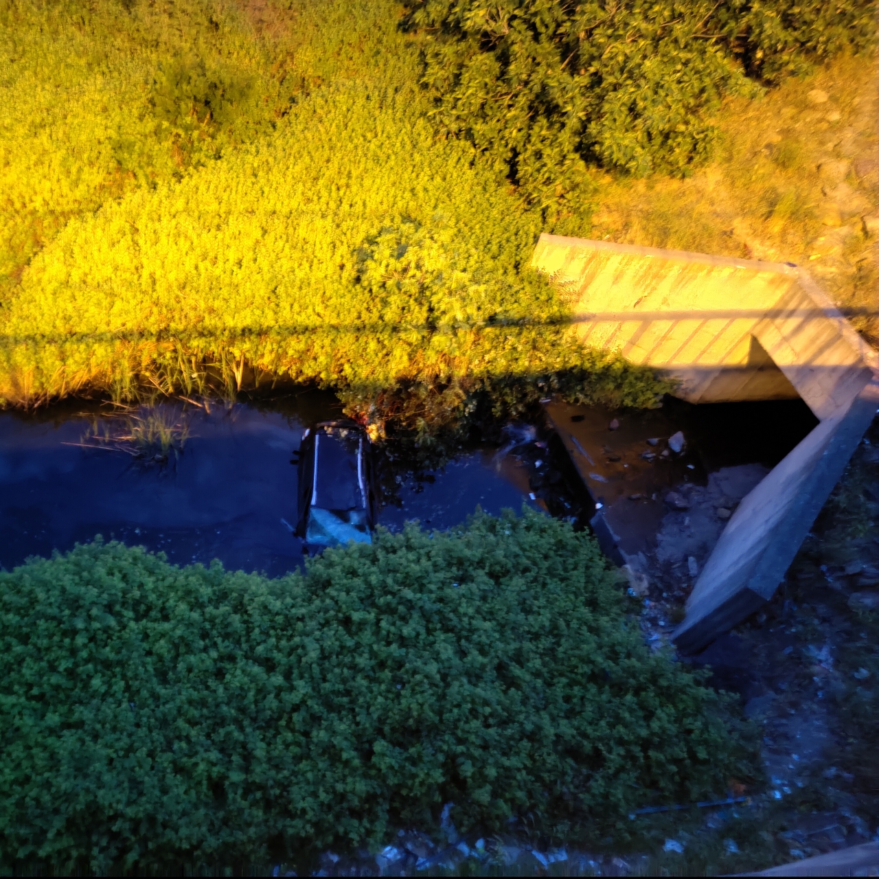 Yoldan çıktı, gölete uçtu!