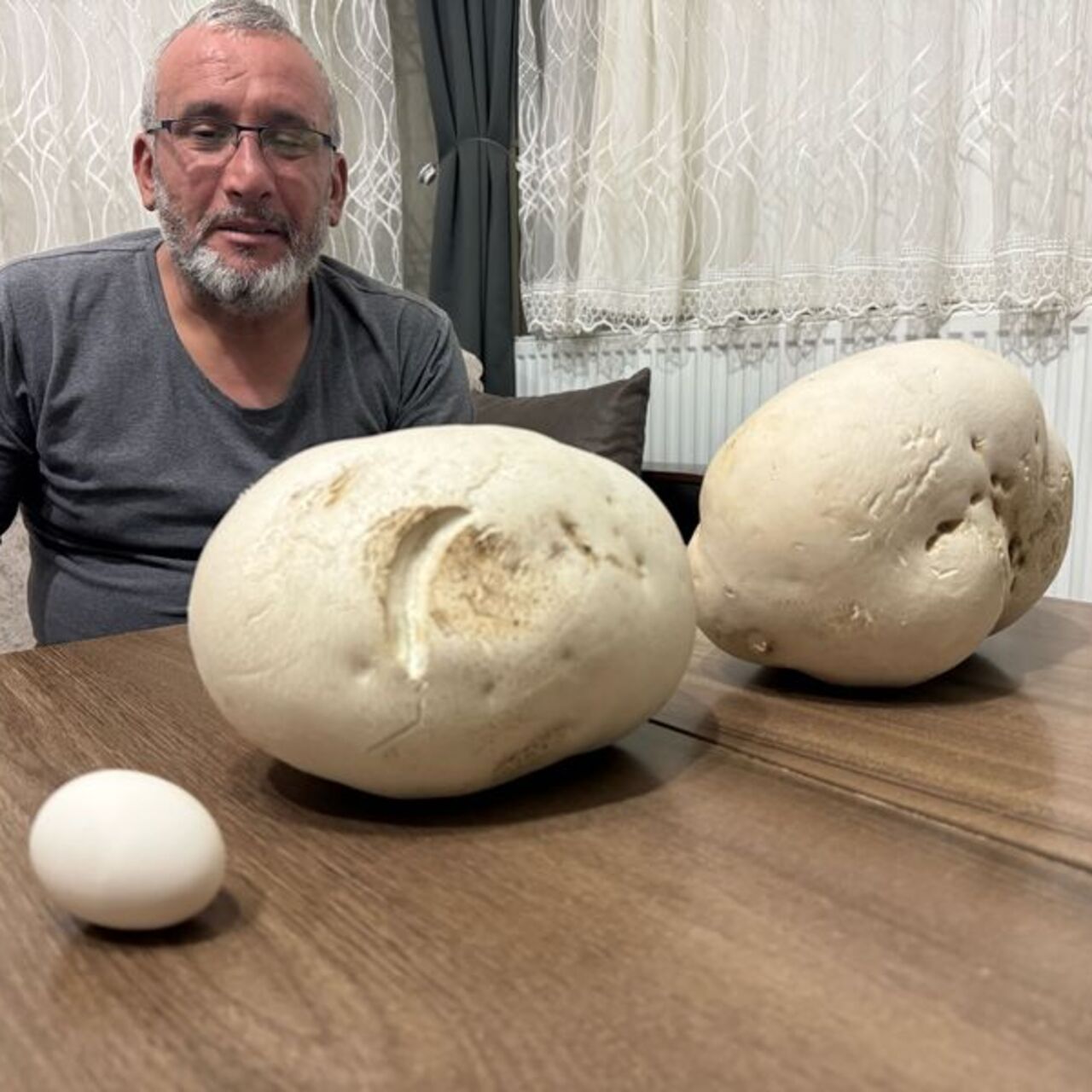 Doğasever yürüyüş sırasında buldu