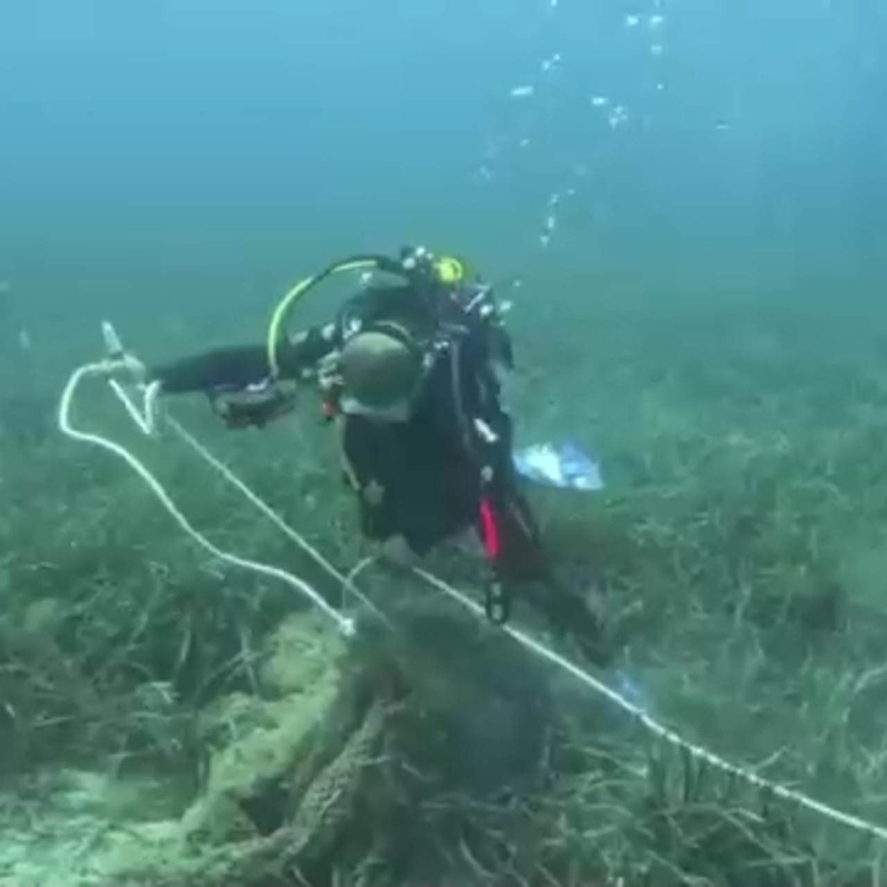 Karaburun’dan 1.5 ton hayalet ağ çıkarıldı