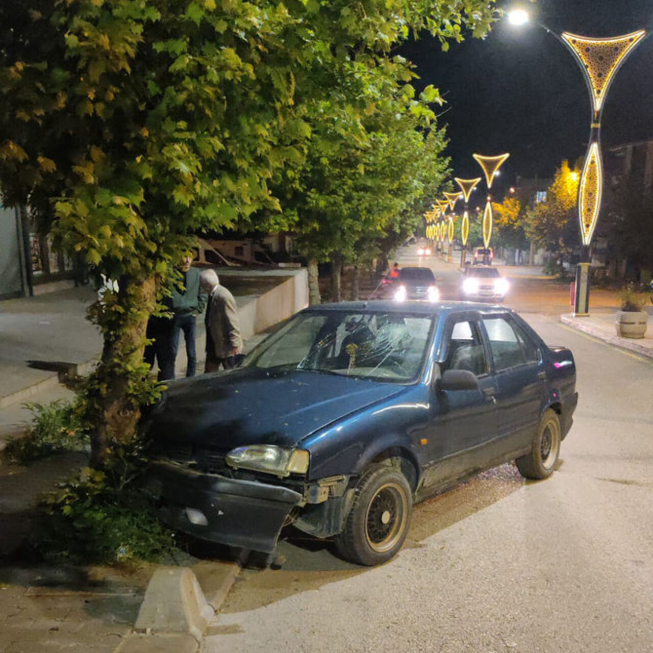 Alkollü sürücü ağaca çarptı