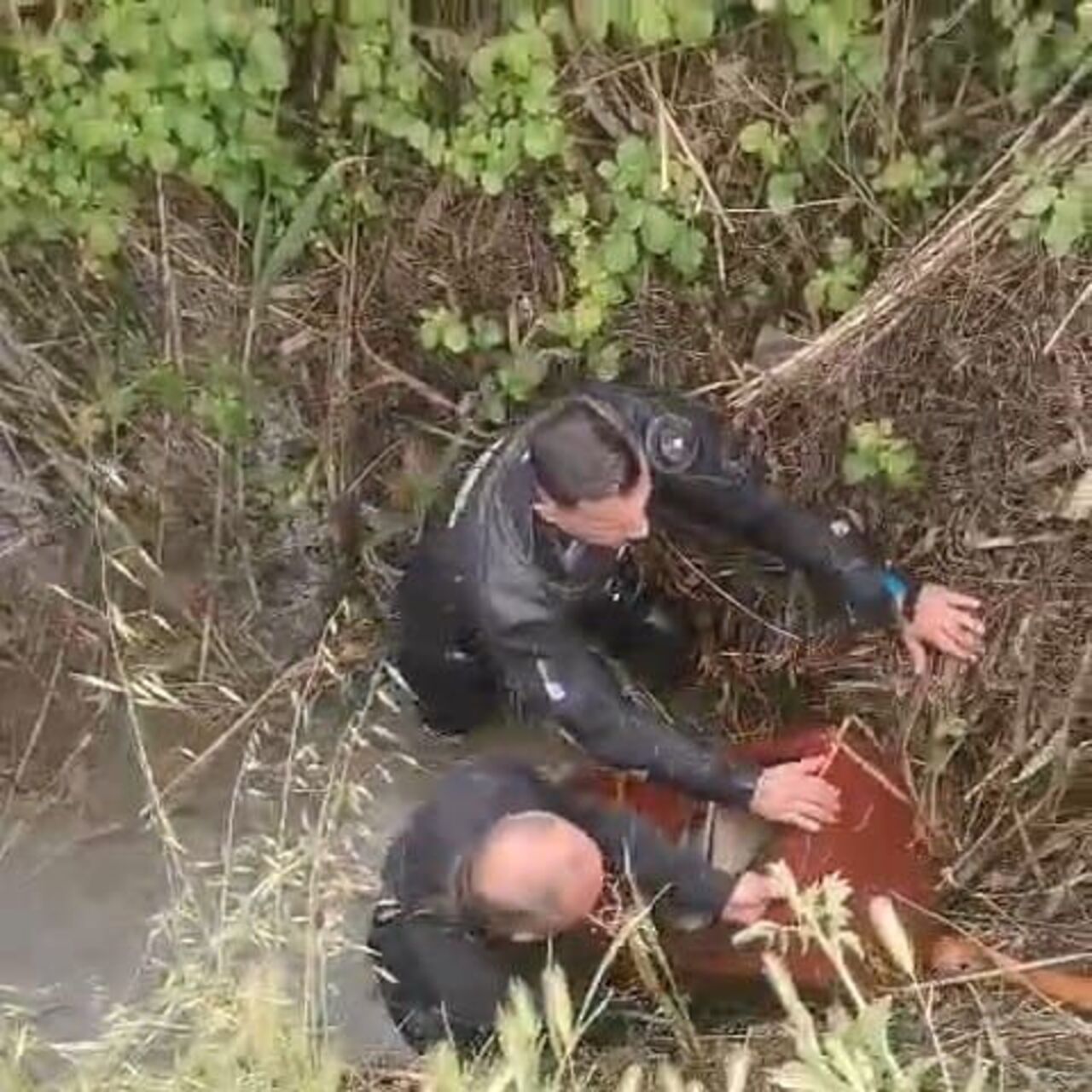 Yaşlı adamın altın dolu kasası çalındı! Hırsızların kimliği şaşırttı