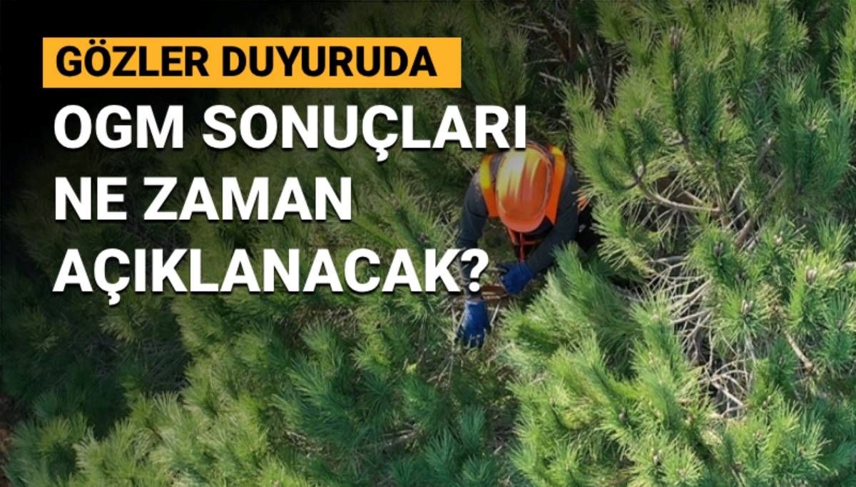 OGM 3 bin 455 personel alımında son durum: OGM personel alımı başvuru sonuçları ne zaman açıklanacak?