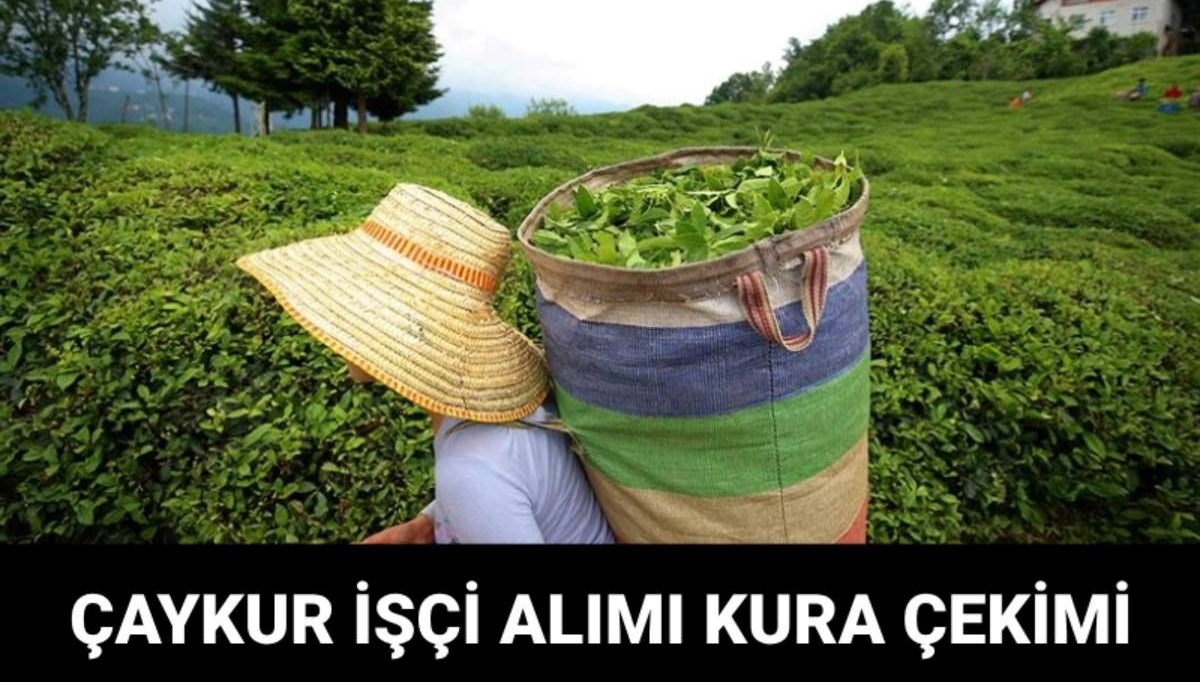 ÇAYKUR işçi alımı kura sonuçları ne zaman açıklanacak? Çaykur işçi alımı kura tarihi