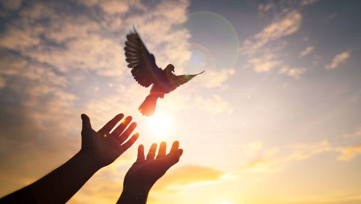 Cuma mesajları ve sözleri: Dua, dilek içeren farklı cuma mesajları