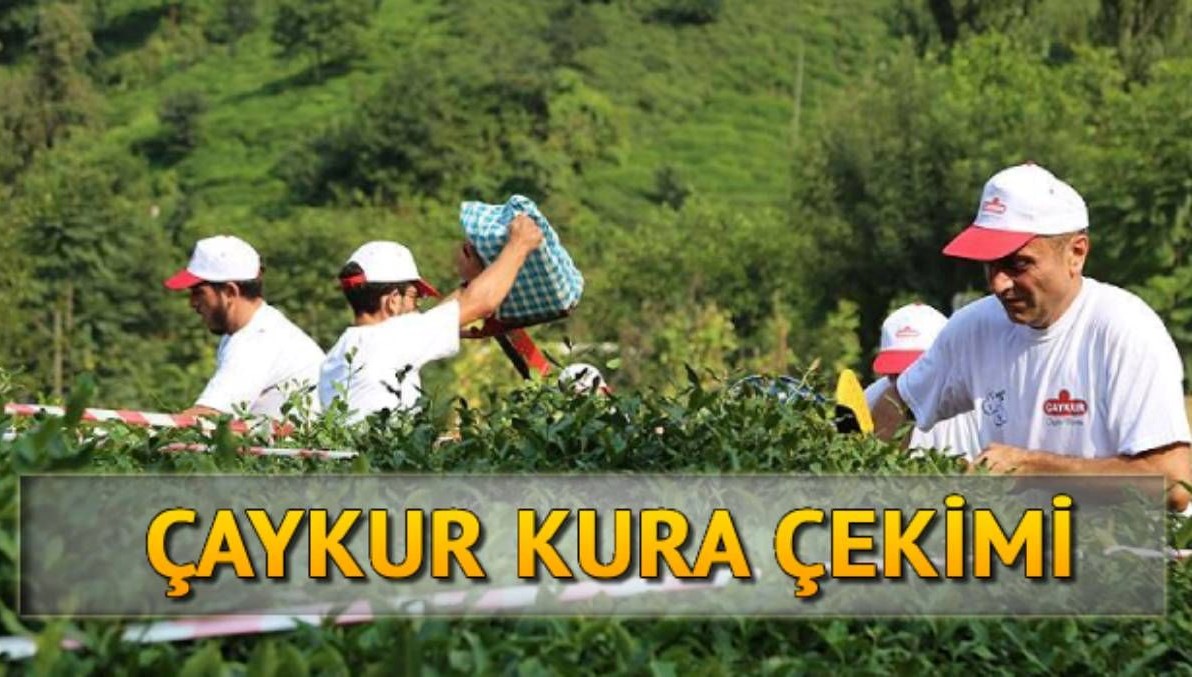 Çaykur canlı kura sayfası: Çaykur kura isim listesi nasıl öğrenilir?