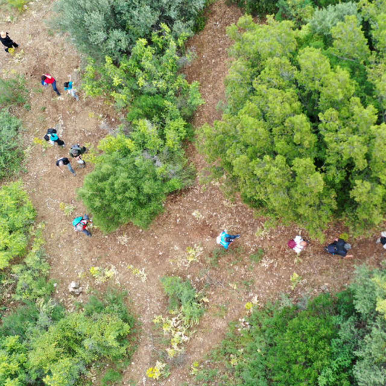 ‘Anemon Yolu’ doğaseverler için hazır