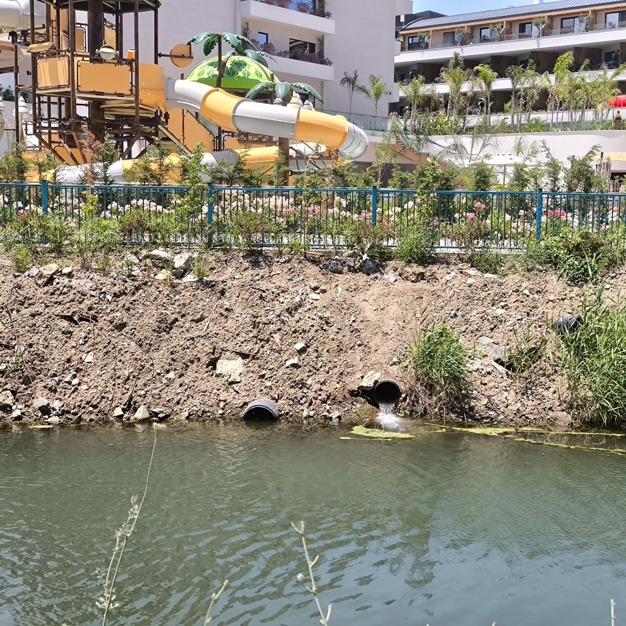 Bu görüntüye ceza yağdı! Cezası iki katına çıkarıldı!