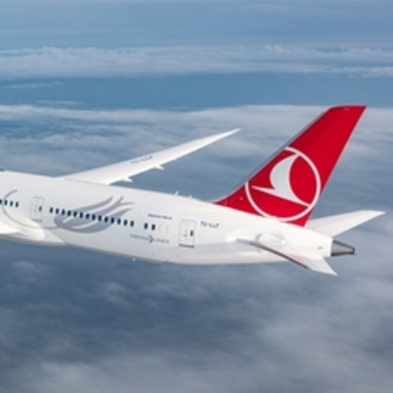 Thy üyelik numarası nedir?