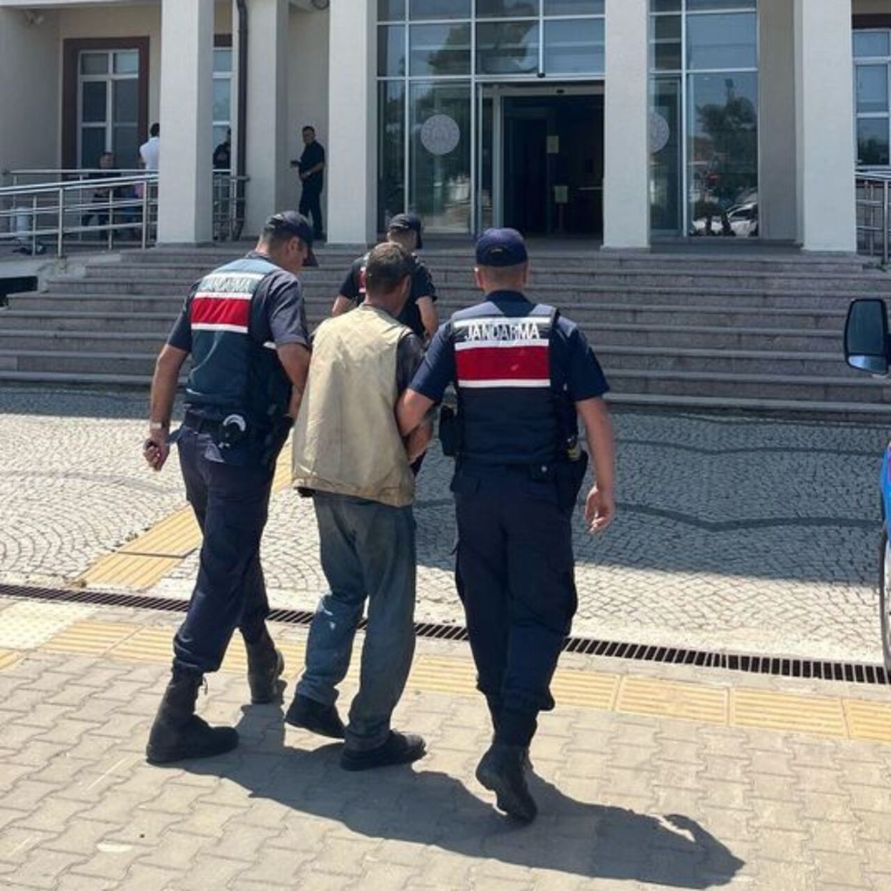 Evinden 77 kök kenevir çıktı: 1 tutuklama
