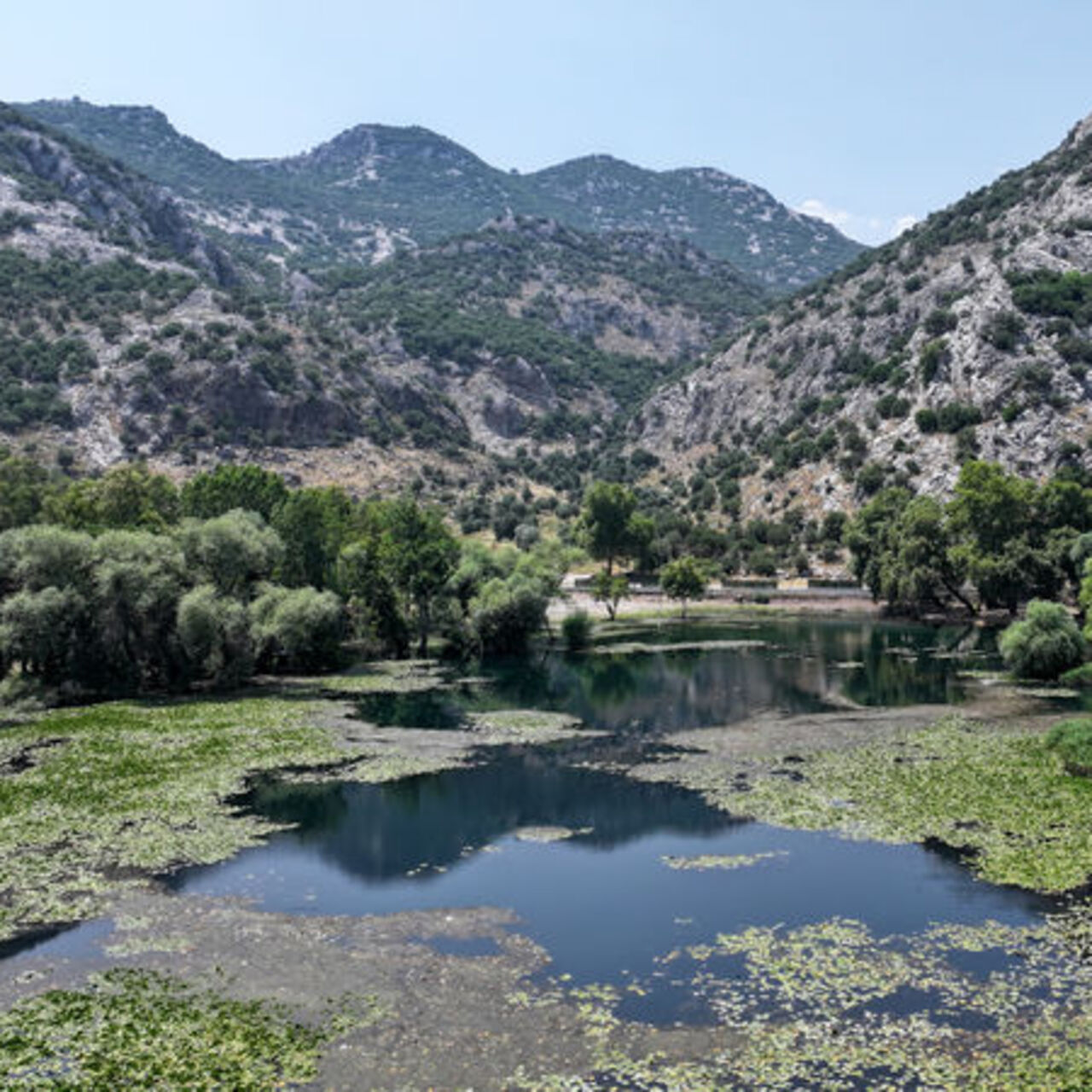 Antalya’nın su kaynağı nilüferlerle kaplandı