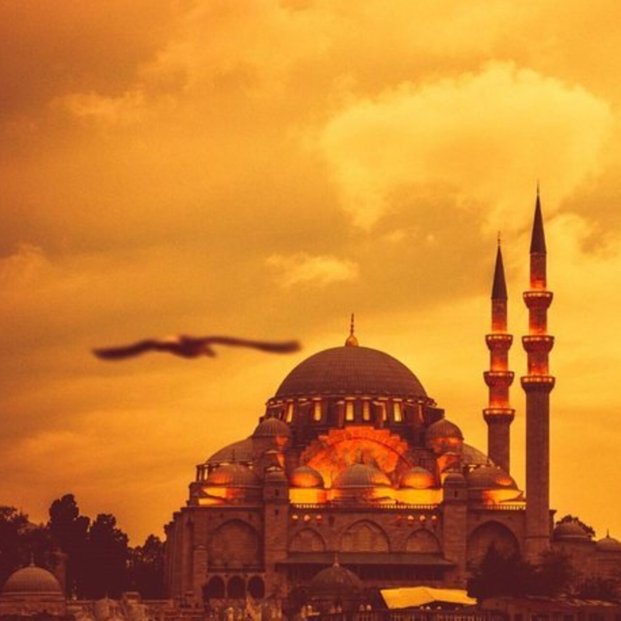Cuma mesajları