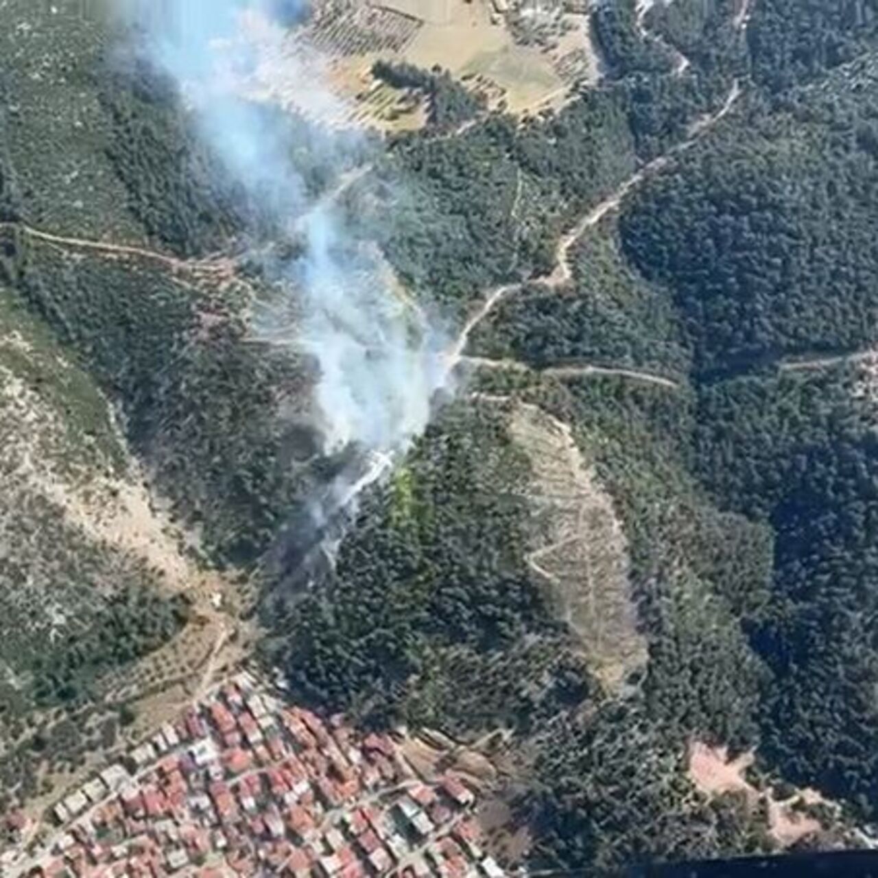 Manisa’da korkutan orman yangını!