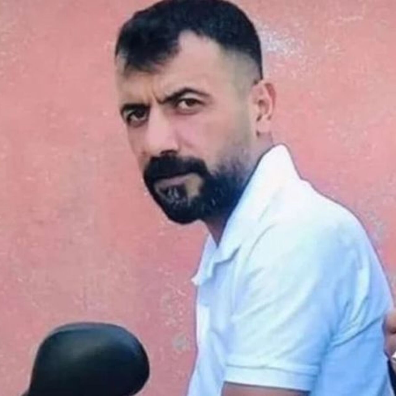 Hayvan otlatırken yılan ısırdı!
