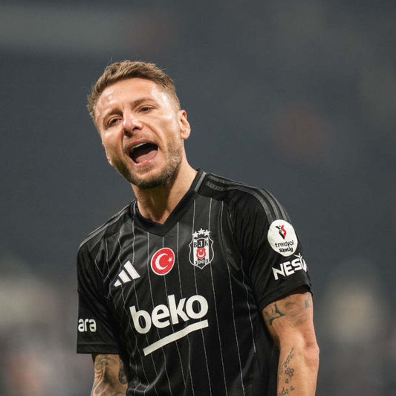 Immobile’ye son teklif!