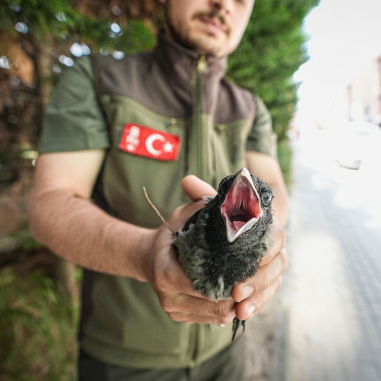 Yaralı arkadaşlarının yerini gösterdiler