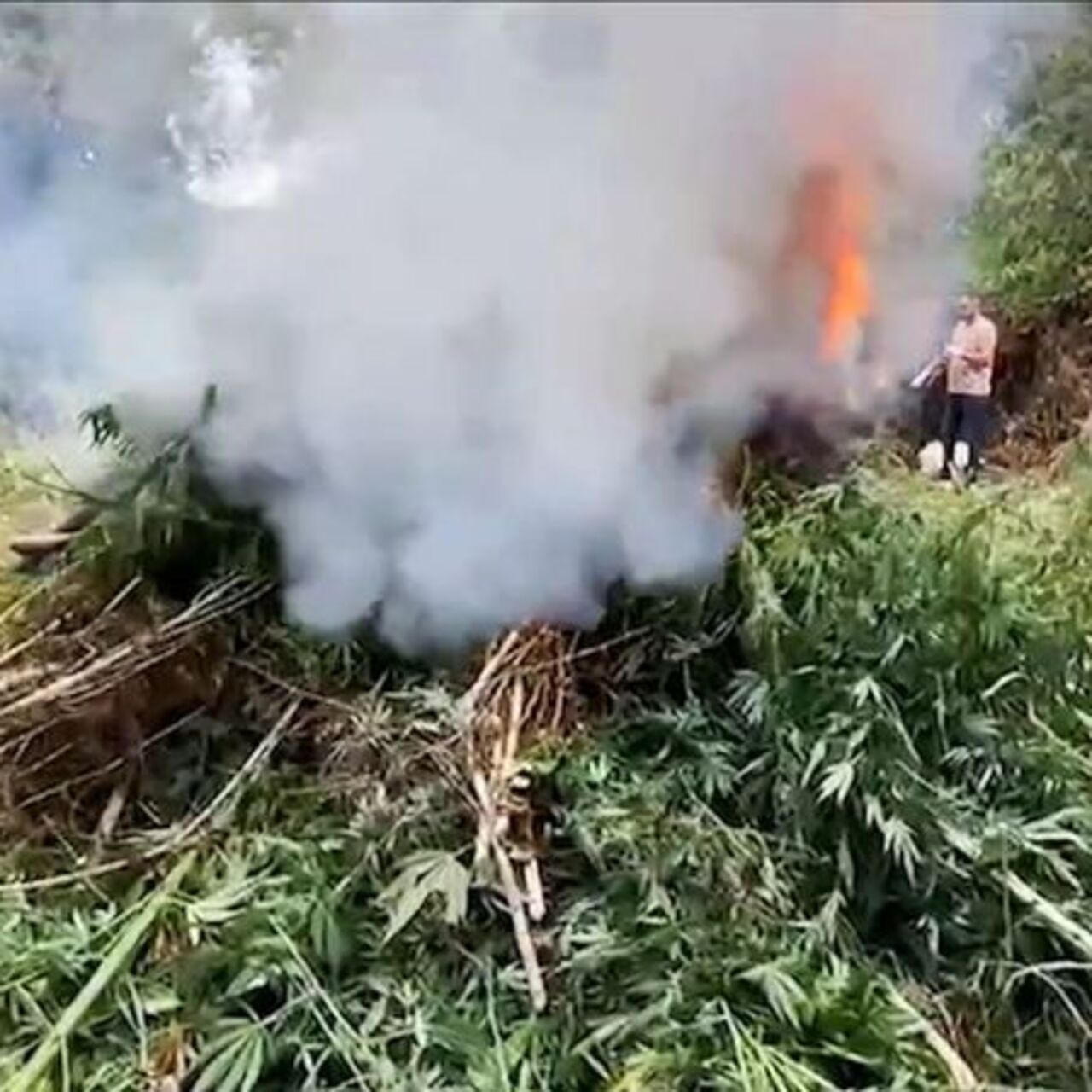 Bakanı Yerlikaya açıkladı! Diyarbakır’da zehir operasyonu!
